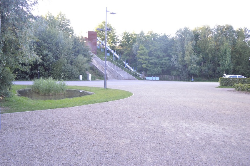 384725.jpg