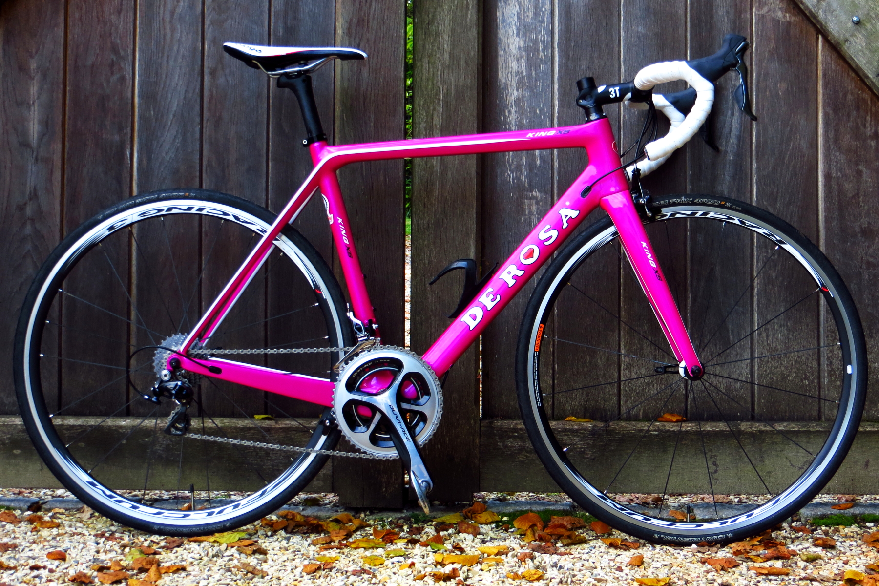 derosa0001.jpg