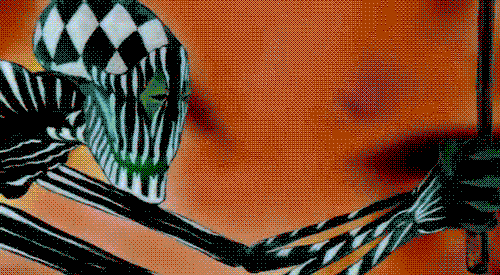 tumblr_maisz88Qkq1rrvbfro1_500.gif