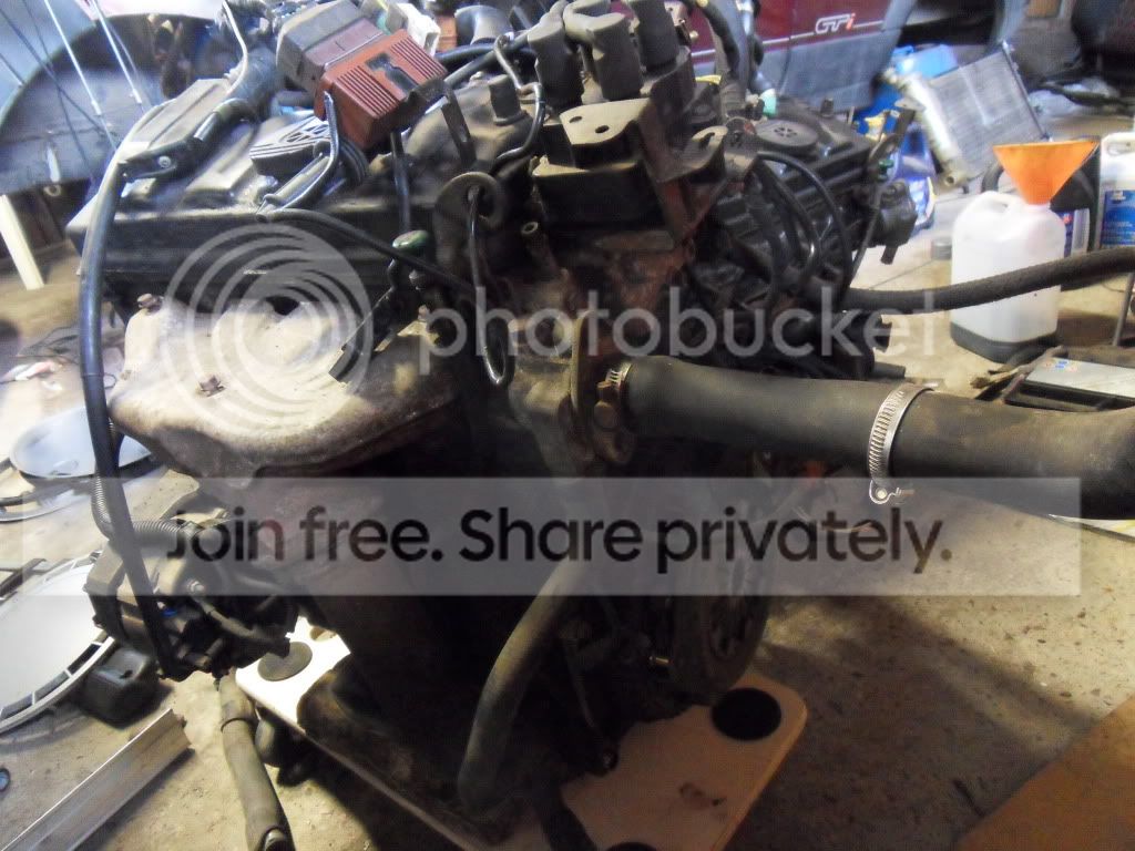 SDC12696.jpg