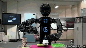 IgXAriLK-0CWH3esW8k5ZA2.gif