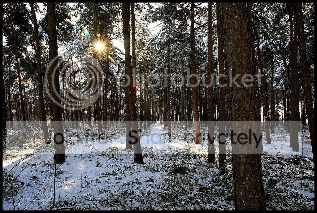 sized_IMG_0492-border.jpg