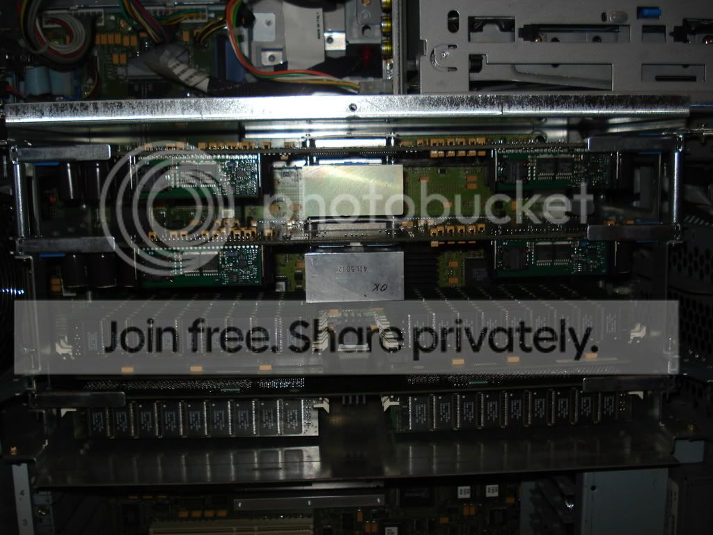 DSC01811.jpg