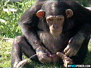 tumblr_moz3sl4erZ1so6vd4o1_400.gif