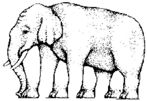 illusie-4-500x345.jpg
