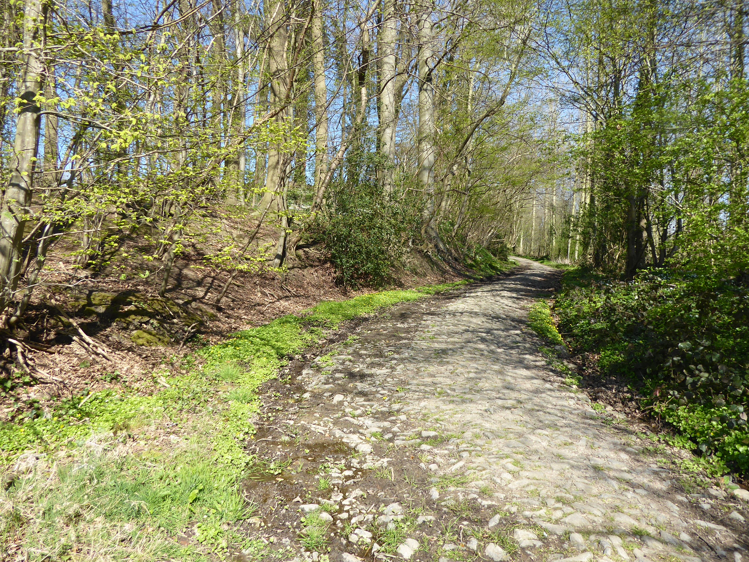 De_IJskelderweg.jpg