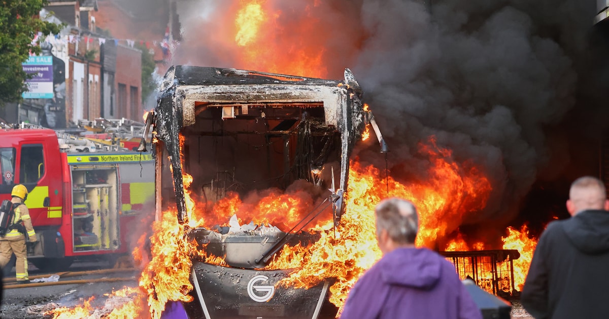 www.demorgen.be
