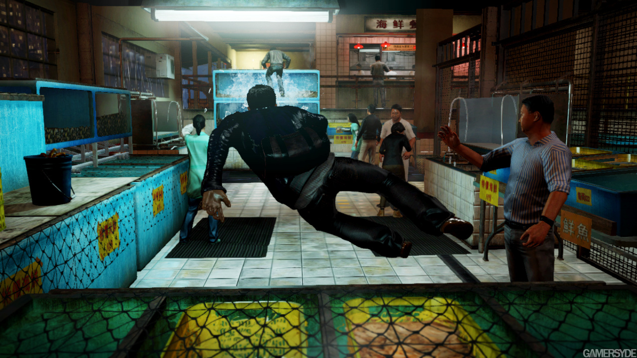 image_sleeping_dogs-19758-2432_0009.jpg