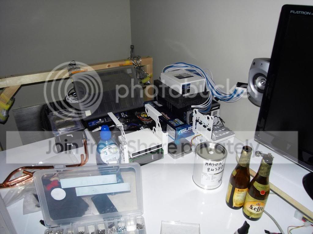 SDC10408.jpg