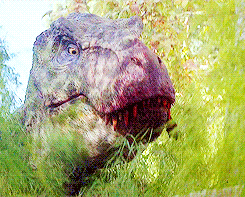 tumblr_m7z3gvVtQi1rxm0ceo1_250.gif