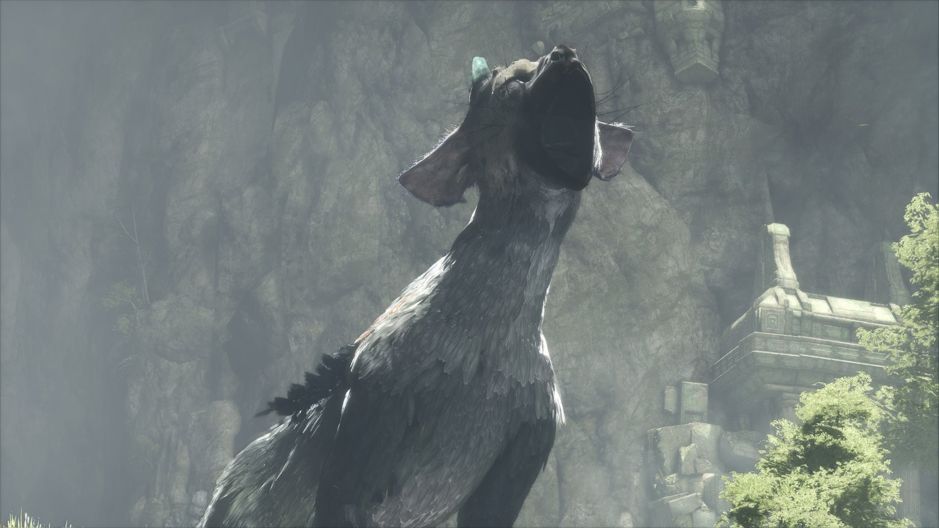 The-Last-Guardian-IGN-11.jpg