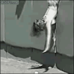 4gifs.tumblr-11.gif