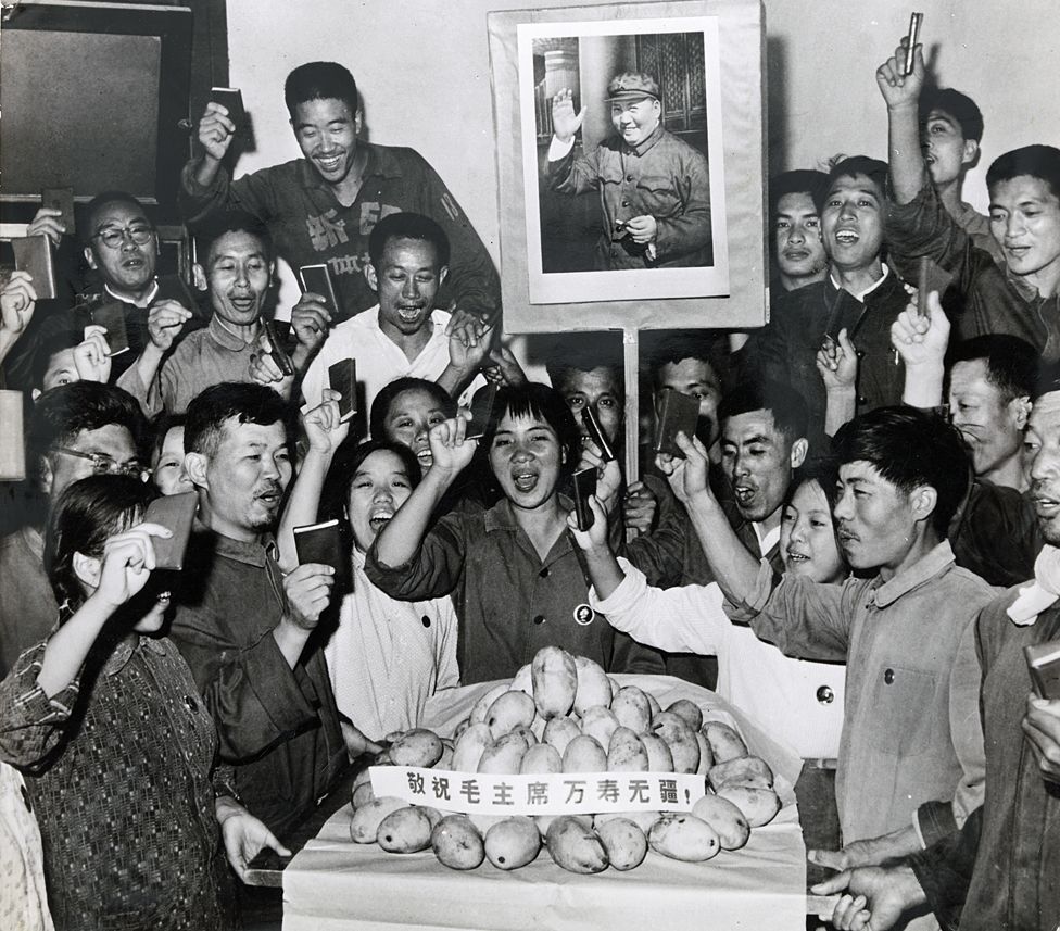 _88184478_mangocelebration.jpg