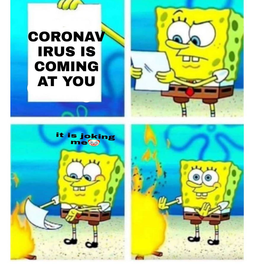 39320572.jpg