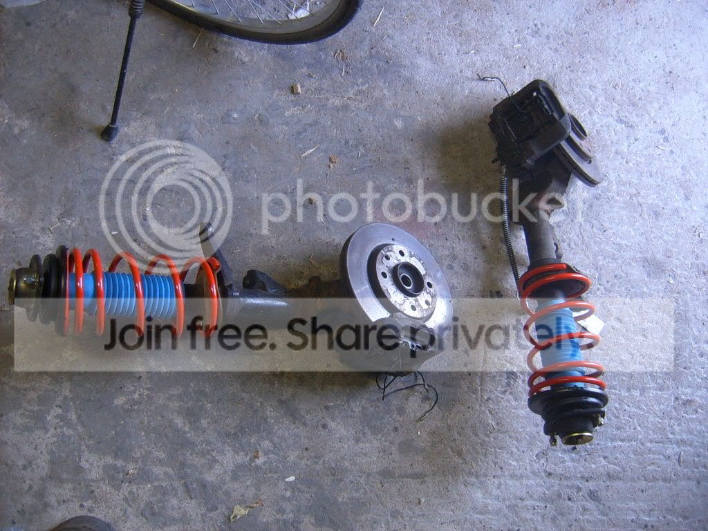 SUC53554.jpg