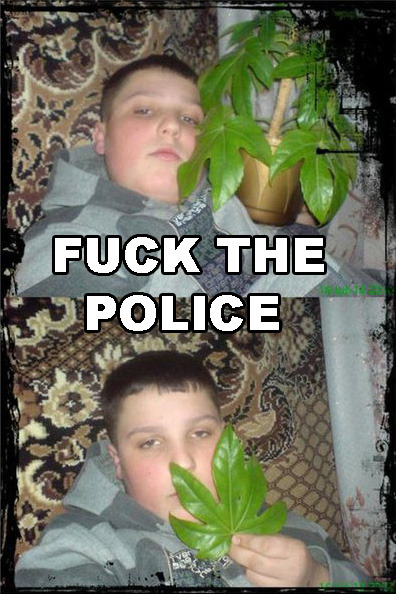 tumblr_luktuth2Vk1qi9oq0o1_400.jpg