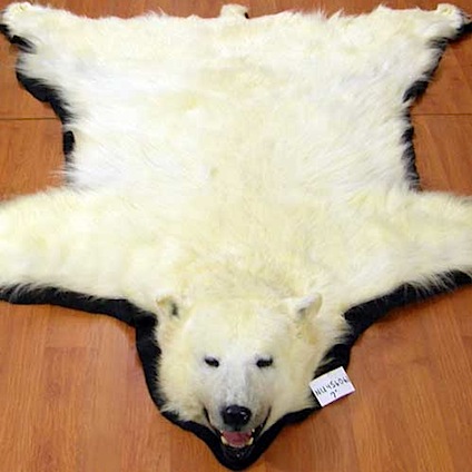 bear11-140.jpg