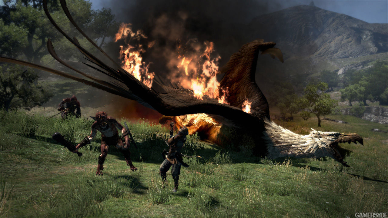 image_dragon_s_dogma-15666-2266_0004.jpg
