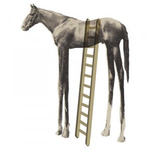 high-horse-300x300.jpg