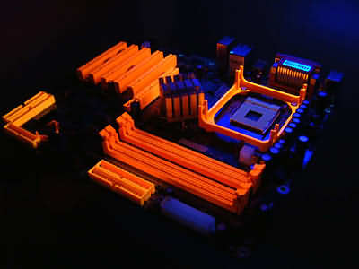 dfi-3.jpg