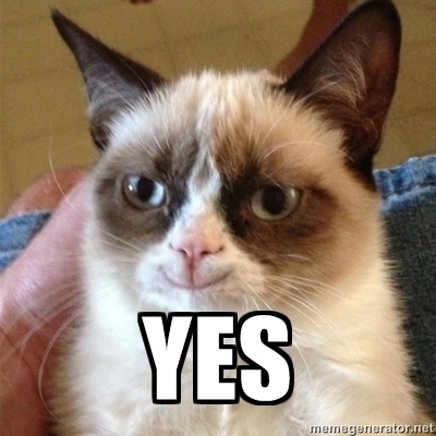 3512424-62051-grumpy-cat-yes-vnq0.jpeg