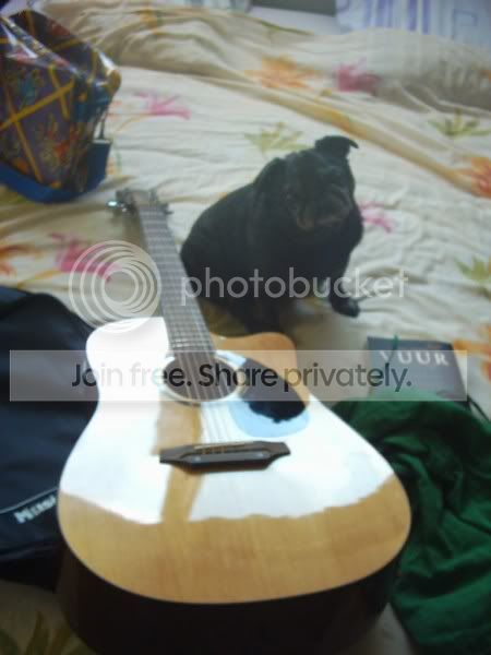 Hohner.jpg