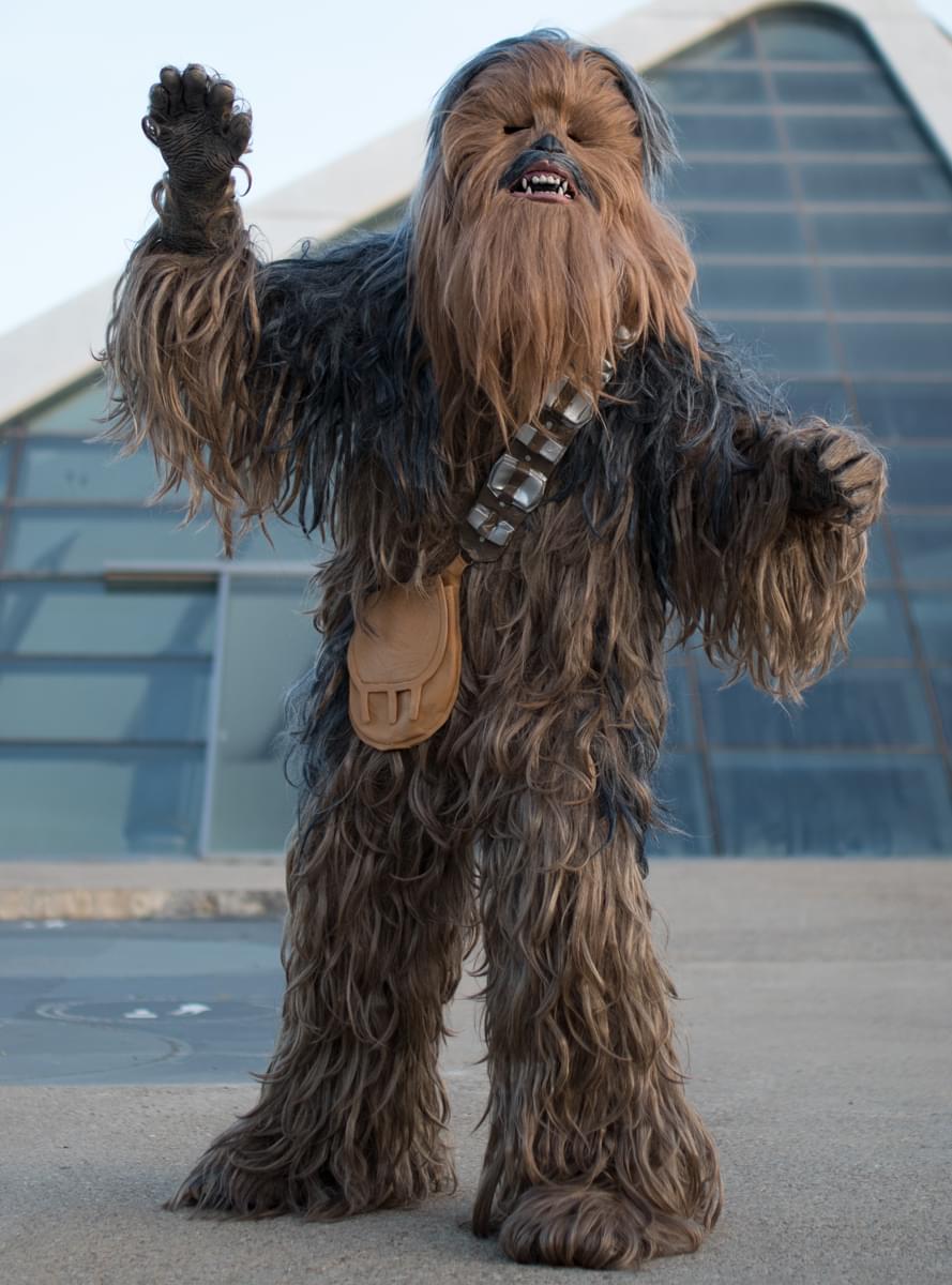 supreme-chewbacca-kostuum.jpg