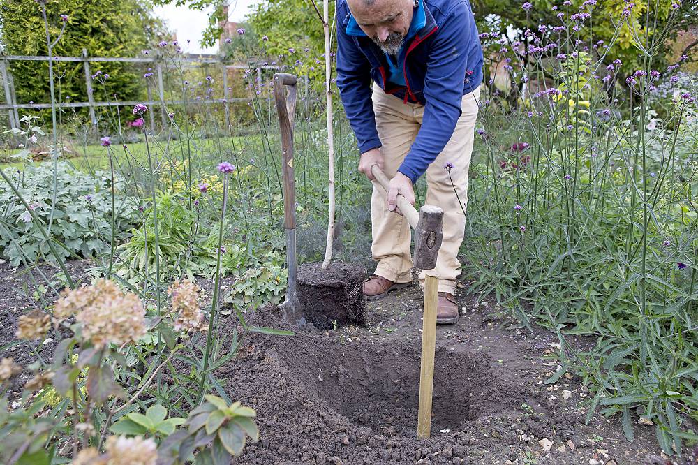 www.gardenersworldmagazine.nl
