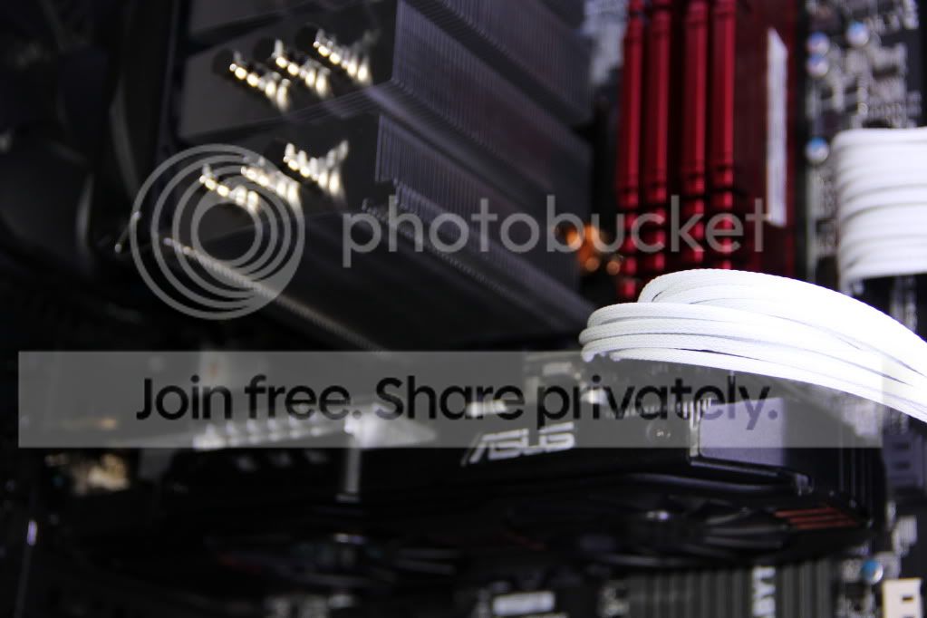 IMG_7230OK.jpg