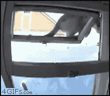 tumblr_lwnza2vRvY1r74cm8o1_250.gif