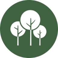 ecotree.green