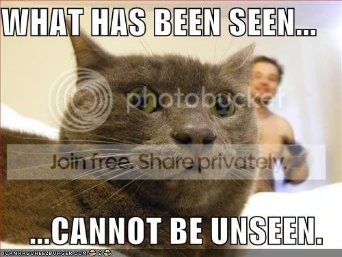IAmBlindCat.jpg