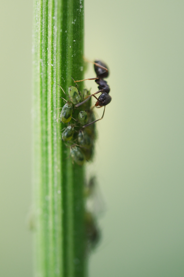 DSCF9214-X2.jpg