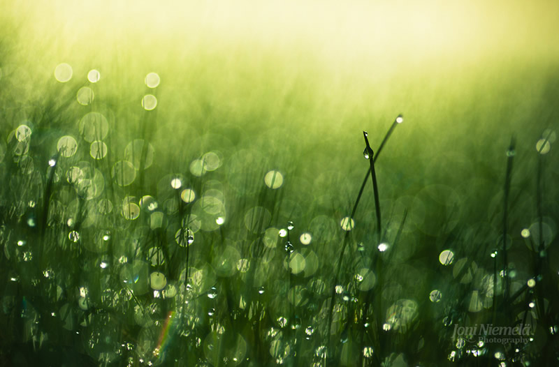 joni_niemela_photography_19.jpg