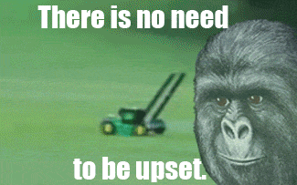 no-need-upset.jpg