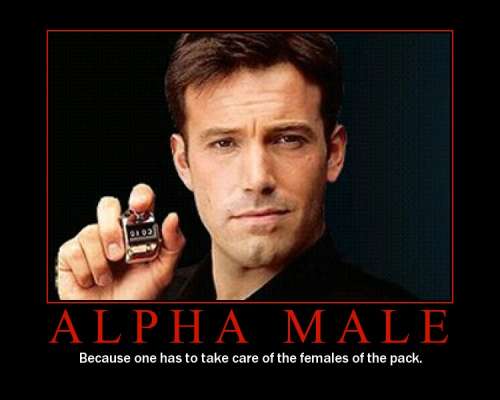 alpha_male.jpg