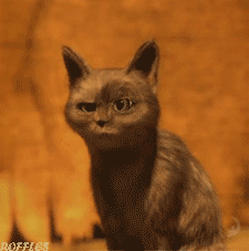 tumblr_mco4fge8pm1rj0sswo1_250.gif