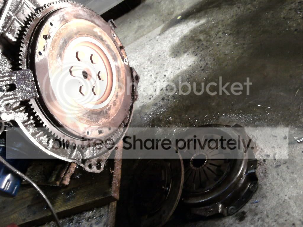 SP_A0203.jpg