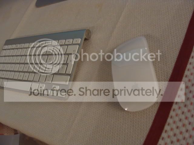 DSC04717.jpg