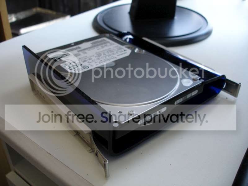 DSC03232-800.jpg