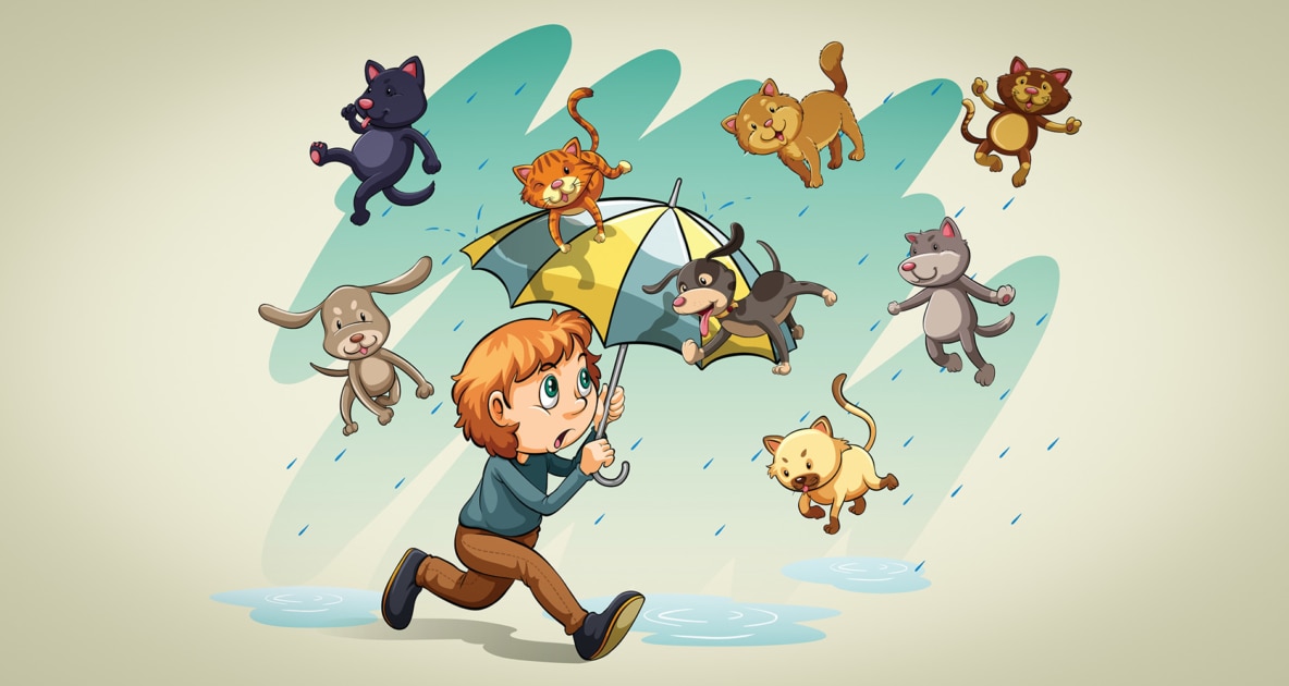 raining-cats-dogs-1184x630.jpg