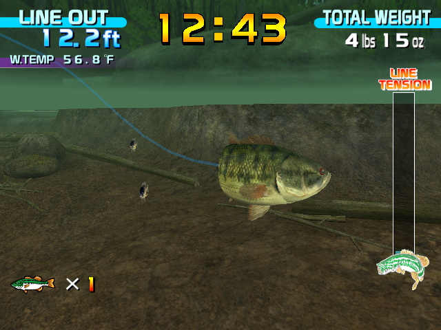 inset1_08_0312_bass.jpg