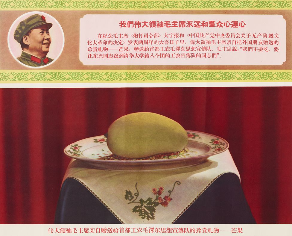 _88184472_maomango_br.jpg