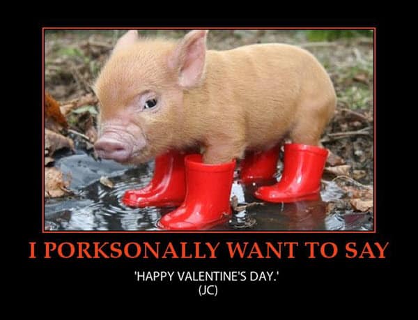 funny-valentines-i-porksonally-want-to-say-meme.jpg