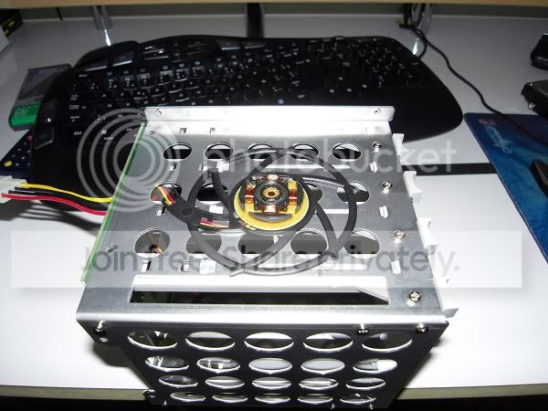 SDC10493.jpg