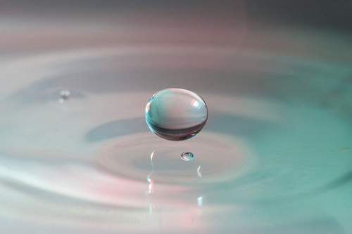 4090481001_dfd5bb71fd.jpg