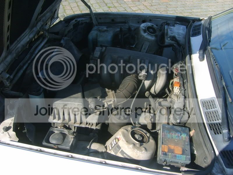 S5002018.jpg