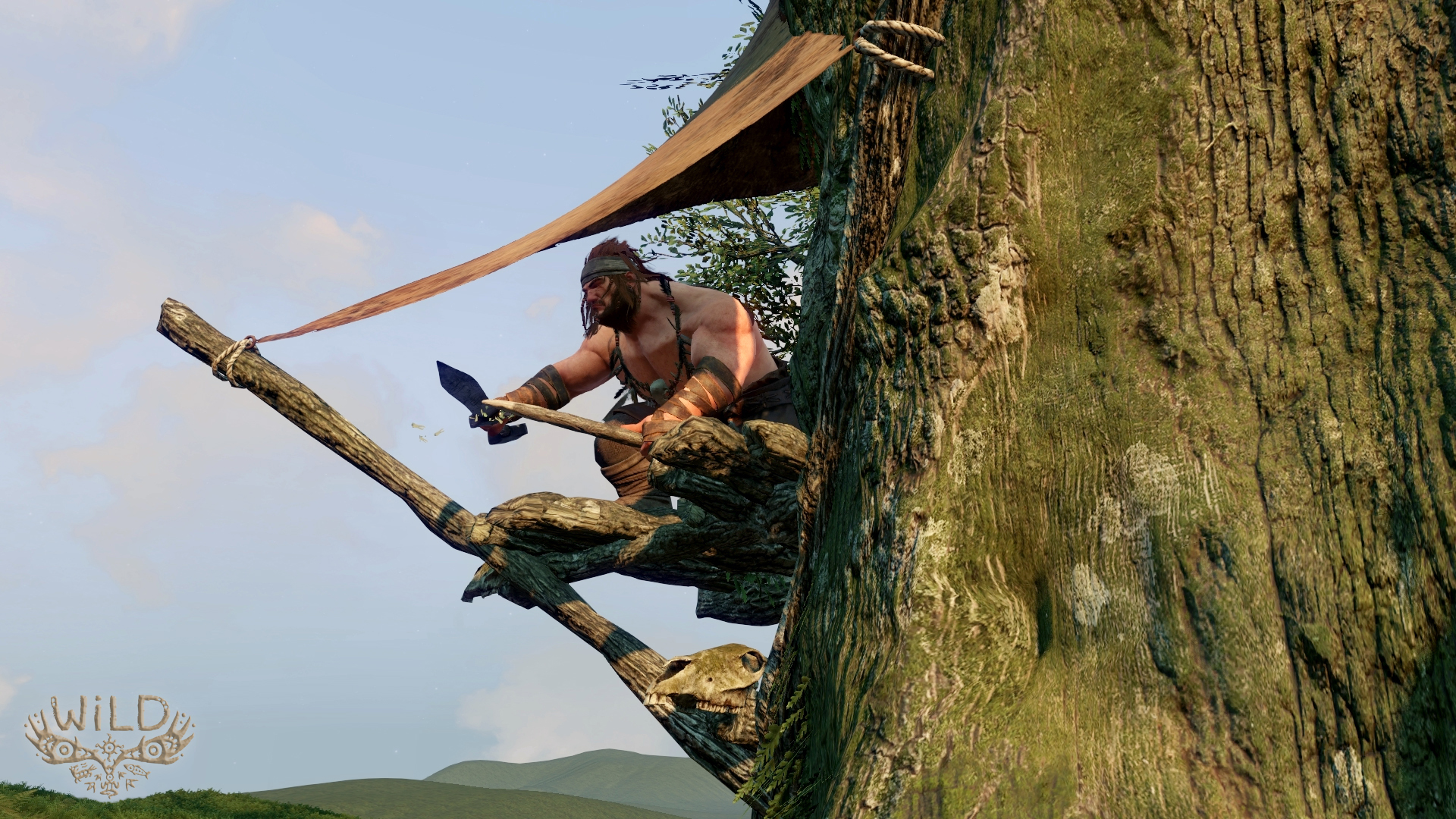 WILD_CosyShelter_1407930425.jpg