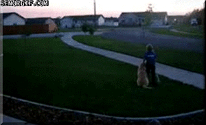 vHsZpiYgSUCq1XvGq0JWig2.gif