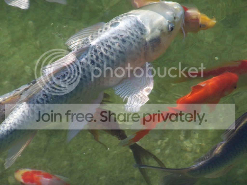 100_7391.jpg